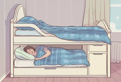 Illustration truckle - Image 1