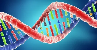 Illustration insert - Image 1