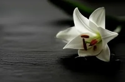 Illustration keen - Image 1