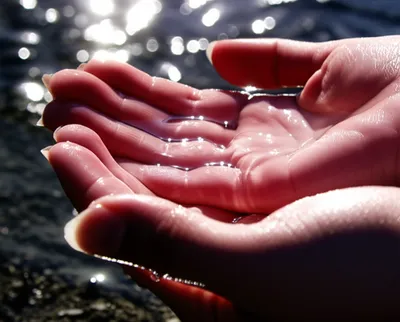 Illustration cupped - Image 1