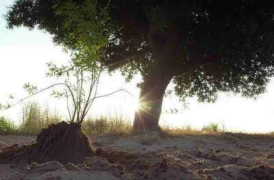 Illustration against - Image 1