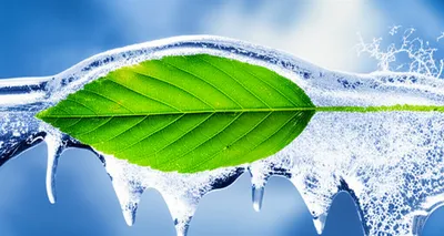 Illustration ice - Image 1