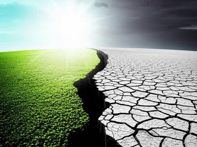 Illustration disjunction - Image 1