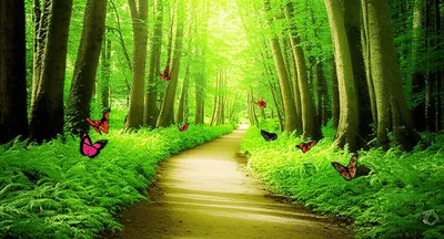 Illustration wend - Image 1