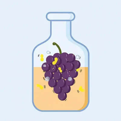 Illustration fermented