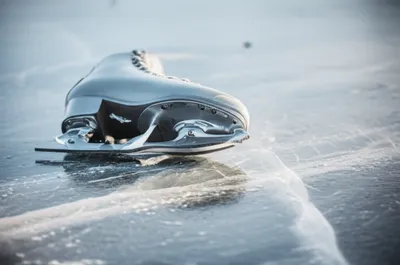 Illustration patten - Image 1