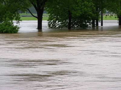 Illustration flood - Image 1