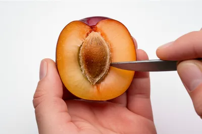 Illustration stoned - Image 1