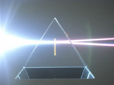 Illustration monos - Image 1