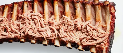 Illustration ribs - Image 1