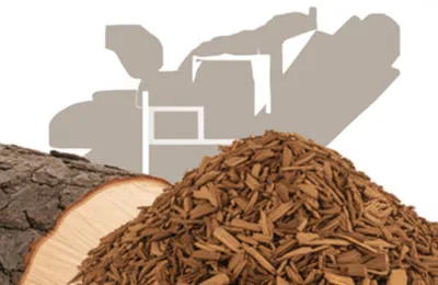 Illustration hogged - Image 1