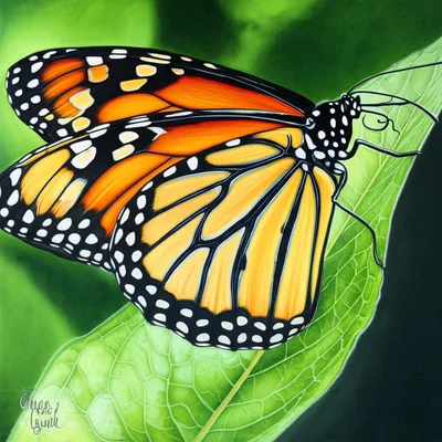 Illustration realistic - Image 1