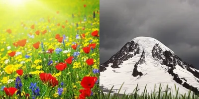 Illustration contrasts - Image 1