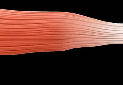 Illustration relaxation - Image 1