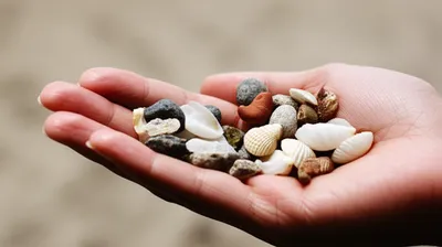 Illustration handfuls