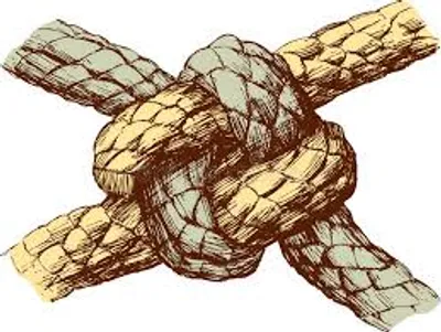 Illustration durable - Image 3