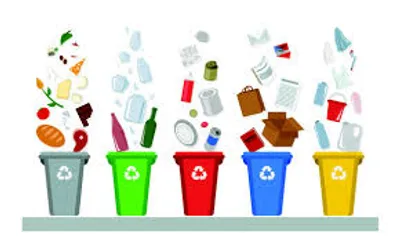 Illustration classify - Image 3