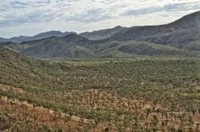 Illustration remoteness - Image 2