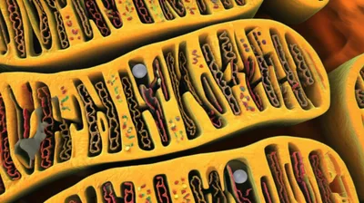 Illustration matrix - Image 1