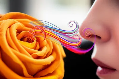 Illustration odorant - Image 1