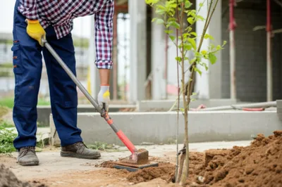 Illustration tampers - Image 1