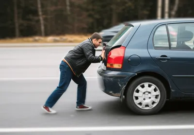 Illustration walks - Image 1