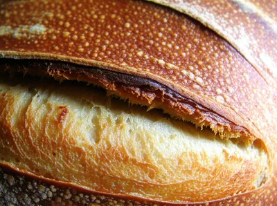 Illustration incrust - Image 1