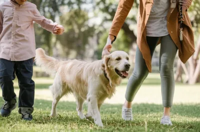 Illustration assuring - Image 1