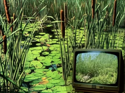 Illustration bog - Image 1