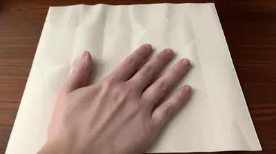 Illustration rectifies - Image 1