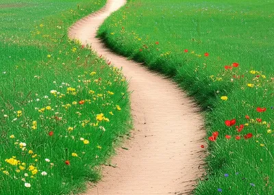 Illustration meandered - Image 1