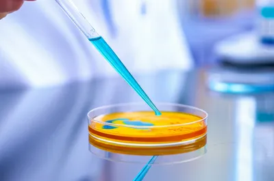 Illustration assays - Image 1