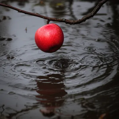 Illustration plunk - Image 1