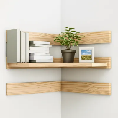Illustration shelves