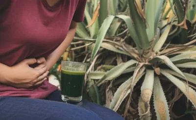 Illustration aloe - Image 1