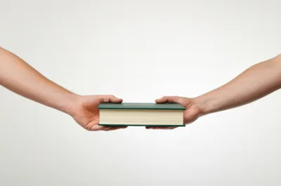 Illustration borrow - Image 1