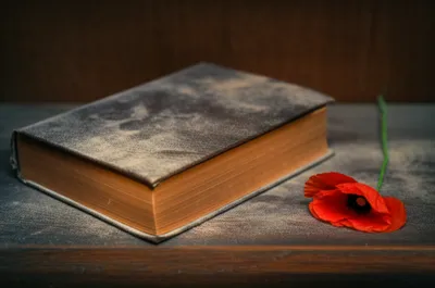 Illustration significant - Image 1