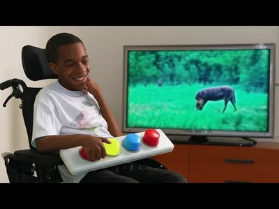 Illustration chinned - Image 1