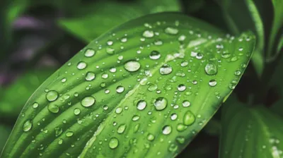 Illustration wetness - Image 1