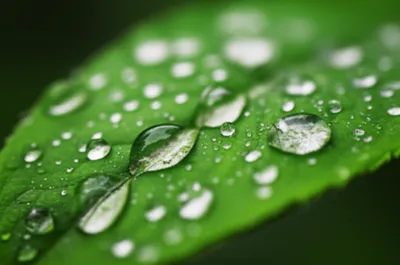 Illustration dropping - Image 1