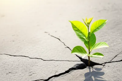 Illustration str - Image 1