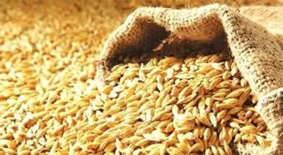 Illustration abundantly - Image 2