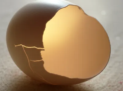 Illustration cracks - Image 1