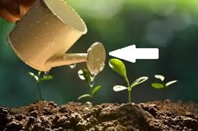 Illustration dynamic - Image 3