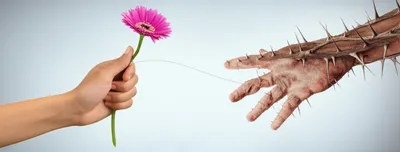 Illustration transfers - Image 1