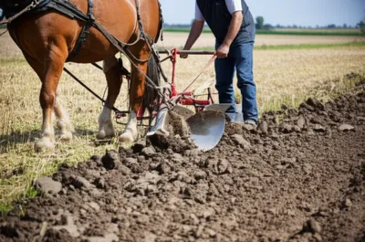 Illustration mouldboard