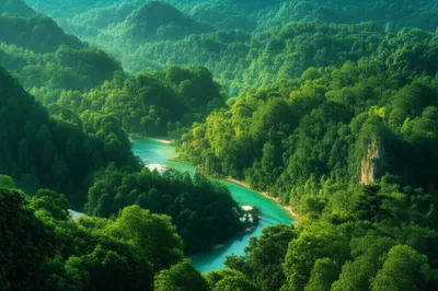 Illustration greenest