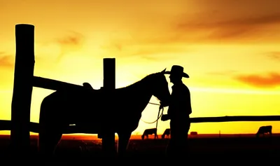 Illustration ranchers - Image 1