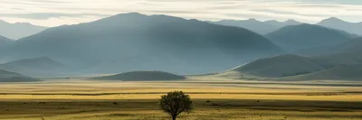 Illustration panoramic