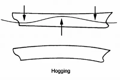 Illustration hog - Image 2